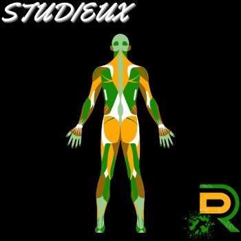 Le Studieux